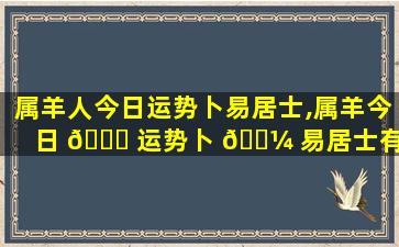 属羊人今日运势卜易居士,属羊今日 🍀 运势卜 🐼 易居士有短暂的桃花降临什么意思